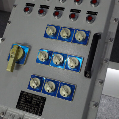 Explosion-Proof Distribution Box BX53-IV detail