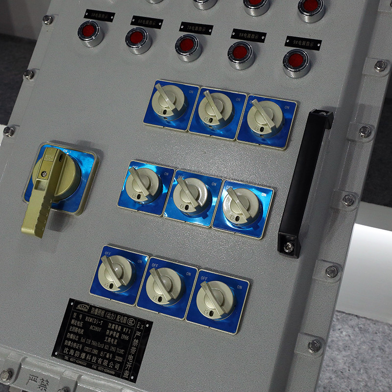 Explosion-Proof Distribution Box BX53-IV detail
