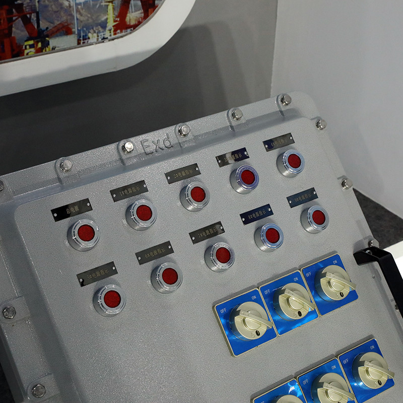 Explosion-Proof Distribution Box BX53-IV detail
