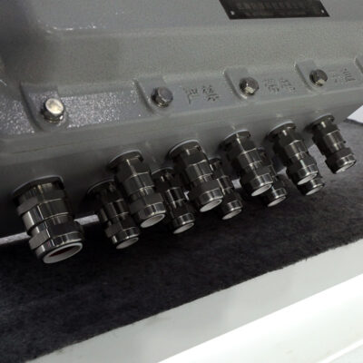 Explosion-Proof Distribution Box BX53-IV detail