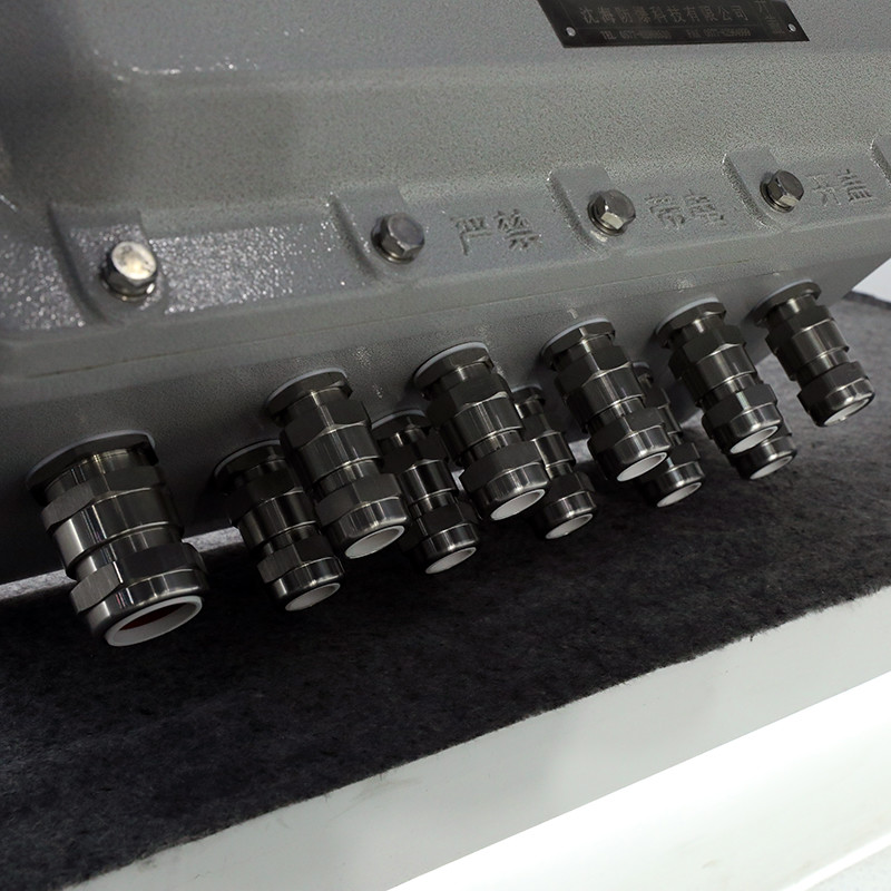 Explosion-Proof Distribution Box BX53-IV detail