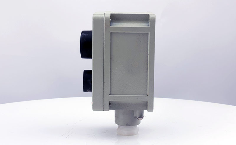 explosion-proof double push button la53-10