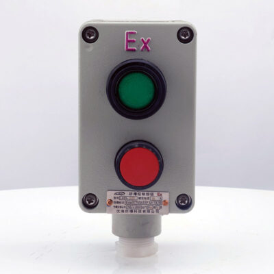 Explosion-Proof Double Push Button LA53 detail