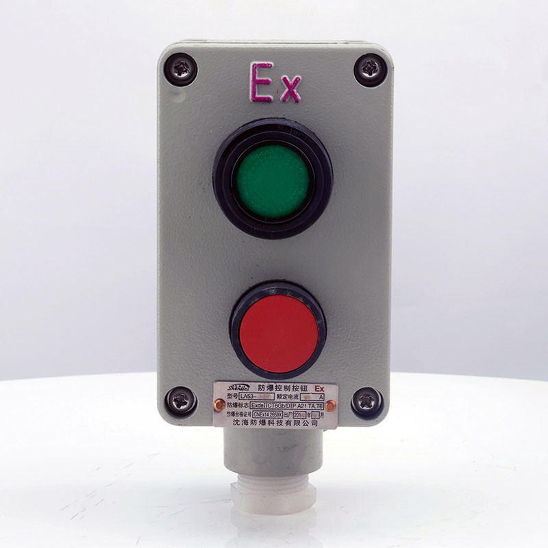 Explosion-Proof Double Push Button LA53 detail