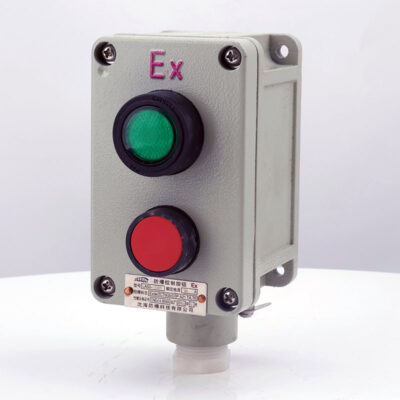 Explosion-Proof Double Push Button LA53 detail
