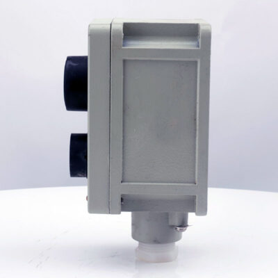 Explosion-Proof Double Push Button LA53 detail