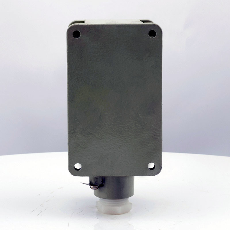 Explosion-Proof Double Push Button LA53 detail