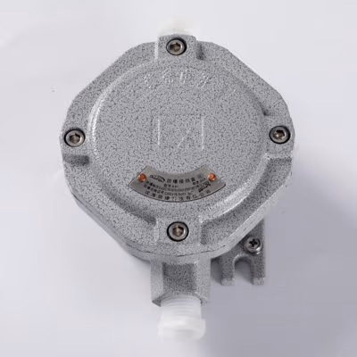 Explosion-Proof Junction Box AH-II detail