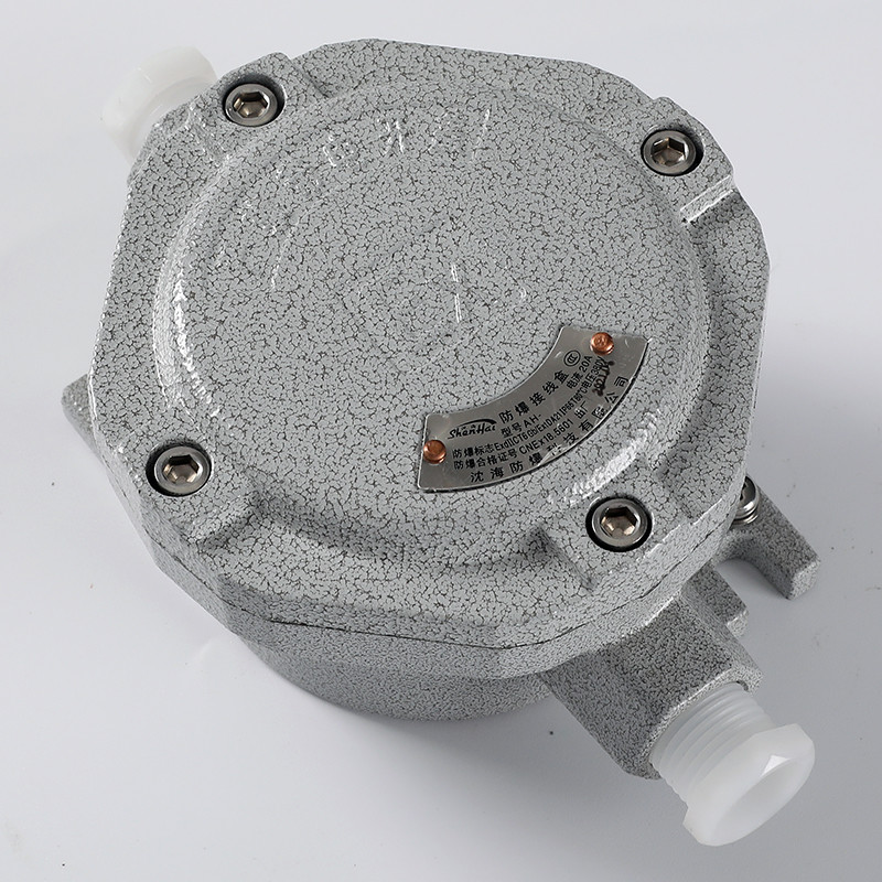 Explosion-Proof Junction Box AH-II detail