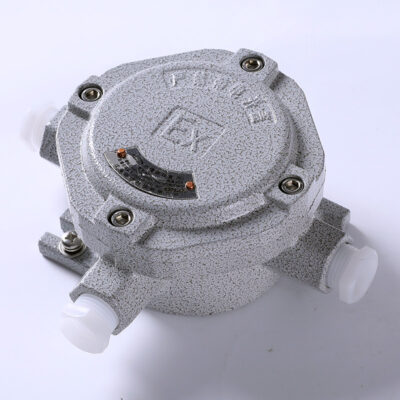 Explosion-Proof Junction Box AH-III detail
