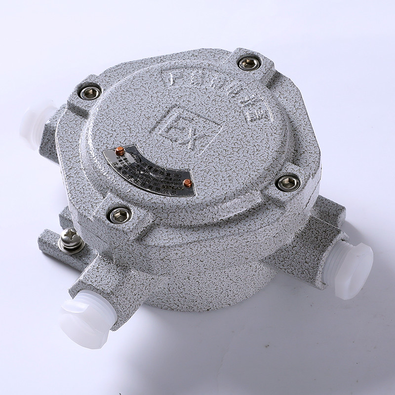 Explosion-Proof Junction Box AH-III detail