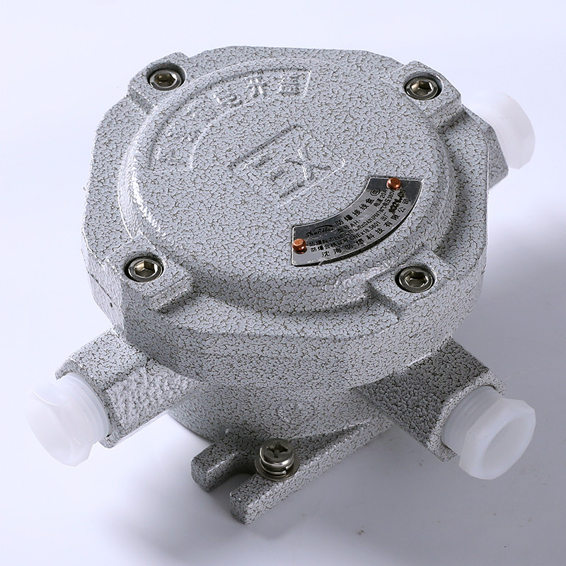 Explosion-Proof Junction Box AH-III detail