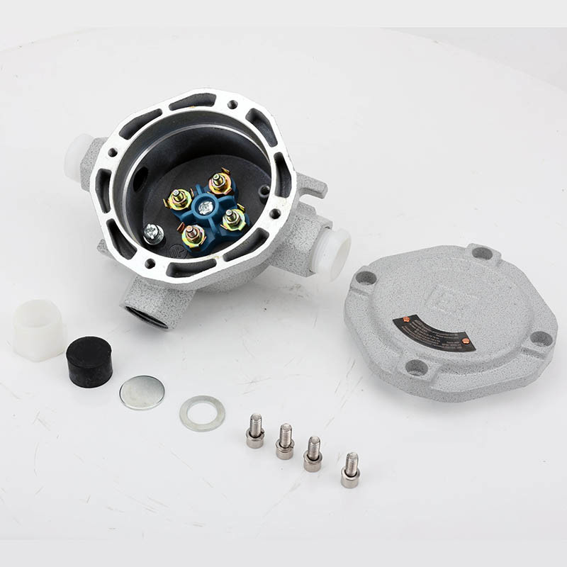 Explosion-Proof Junction Box AH-IV detail
