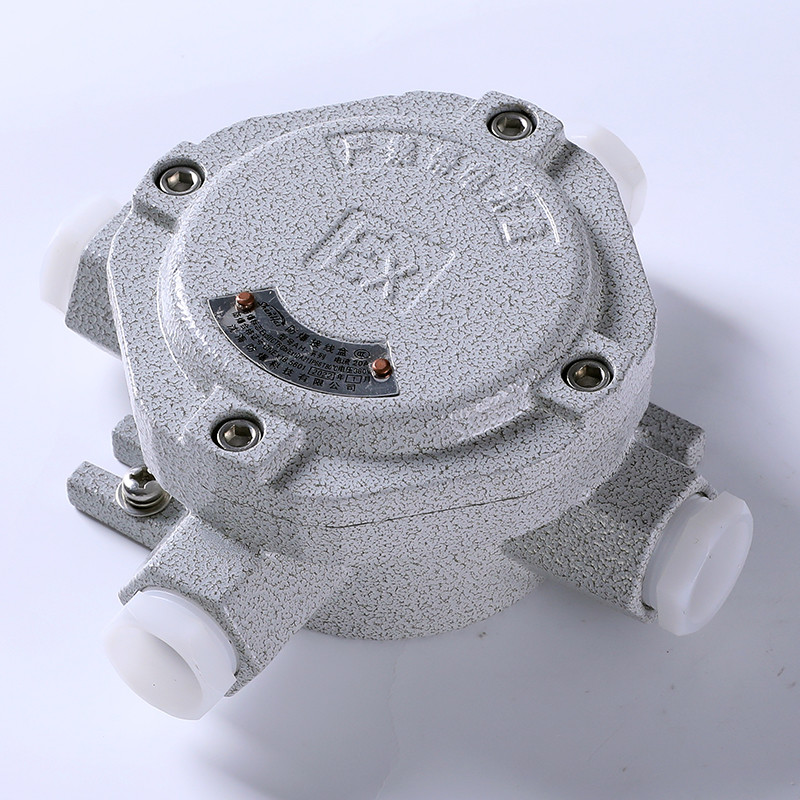 Explosion-Proof Junction Box AH-IV detail