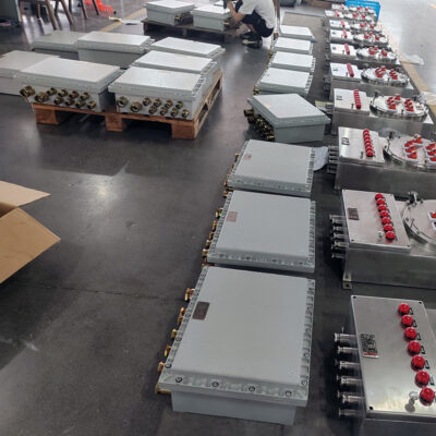 Explosion-Proof Junction Box BJX-I detail