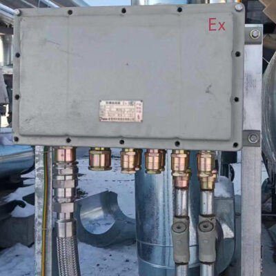 Explosion-Proof Junction Box BJX-I detail