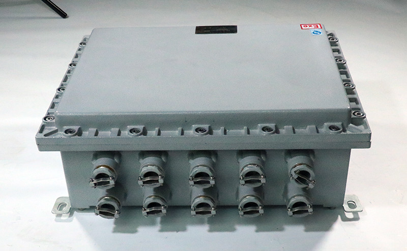 Explosion Proof Junction Box BJX-I - Explosion Proof Junction Box - 4