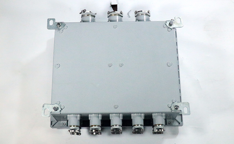 Explosion Proof Junction Box BJX-I - Explosion Proof Junction Box - 5