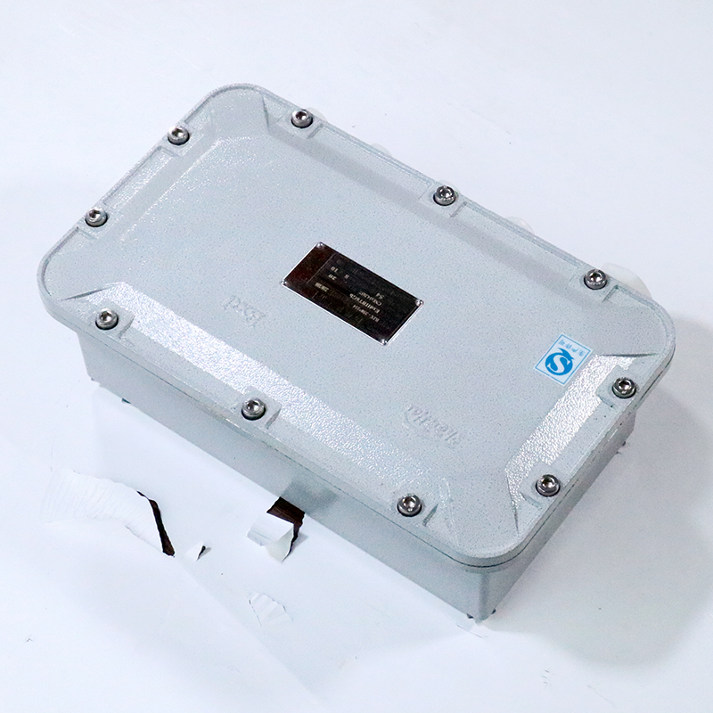 Explosion-Proof Junction Box BJX-II detail