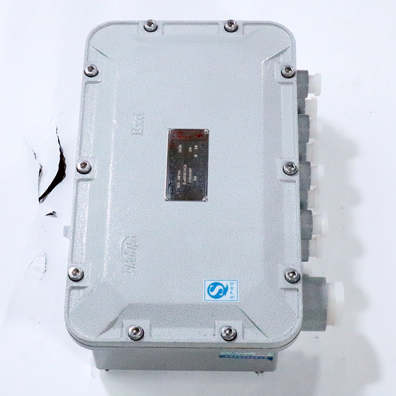 Explosion-Proof Junction Box BJX-II detail