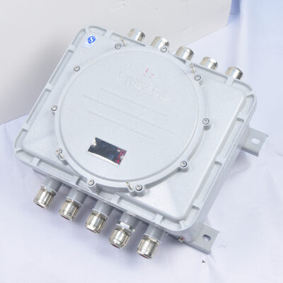 Explosion-Proof Junction Box CJX-I detail