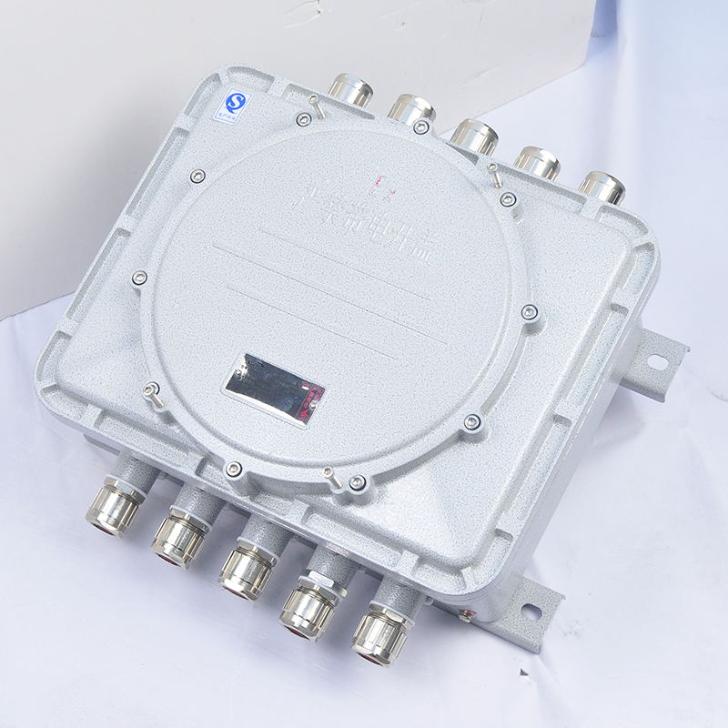 Explosion-Proof Junction Box CJX-I detail