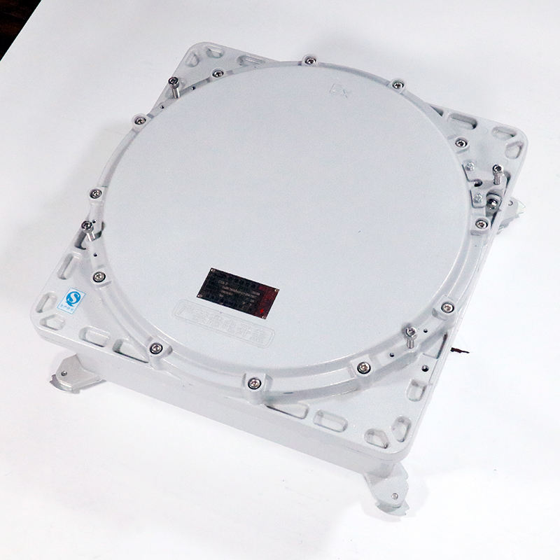 Explosion-Proof Junction Box CJX-I detail