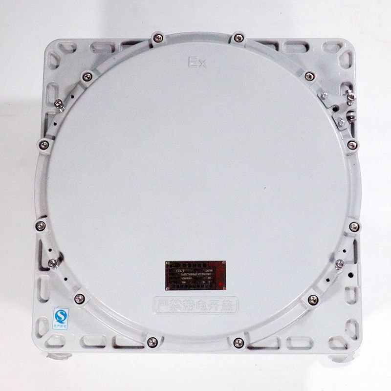 Explosion-Proof Junction Box CJX-I detail