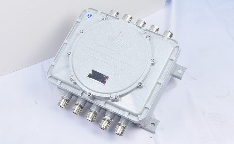 Explosion Proof Junction Box CJX-I - Explosion Proof Junction Box - 2