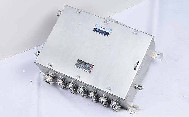 Stainless Steel Explosion Proof Junction Box EJX - Explosion Proof Junction Box - 2