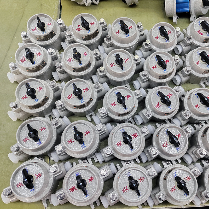 Explosion-Proof Lighting Switch SW-10 detail