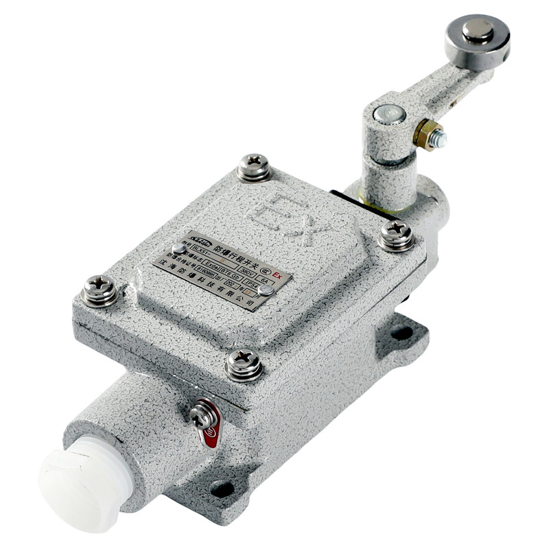 Explosion-Proof Limit Switch BLX51-B