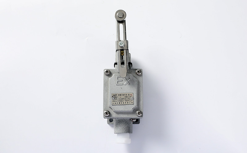 Explosion Proof Limit Switch BLX51-B - Explosion Proof Button Switch - 6