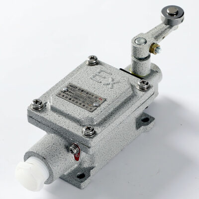 Explosion-Proof Limit Switch BLX51-B detail