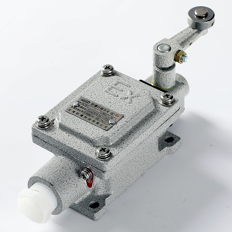 Explosion-Proof Limit Switch BLX51-B detail
