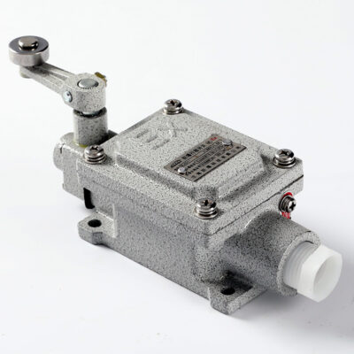 Explosion-Proof Limit Switch BLX51-B detail