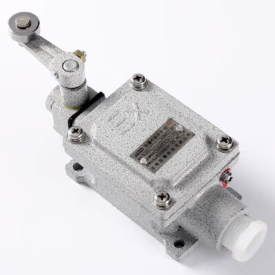 Explosion-Proof Limit Switch BLX51-B detail