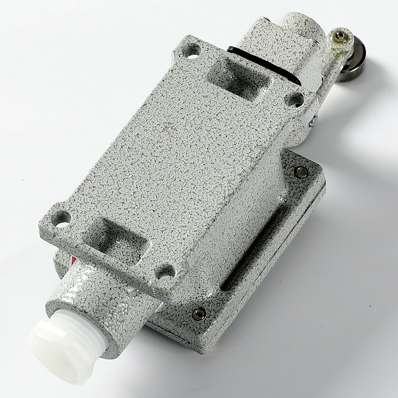 Explosion-Proof Limit Switch BLX51-B detail