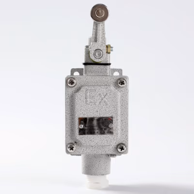 Explosion-Proof Limit Switch BLX51-B detail