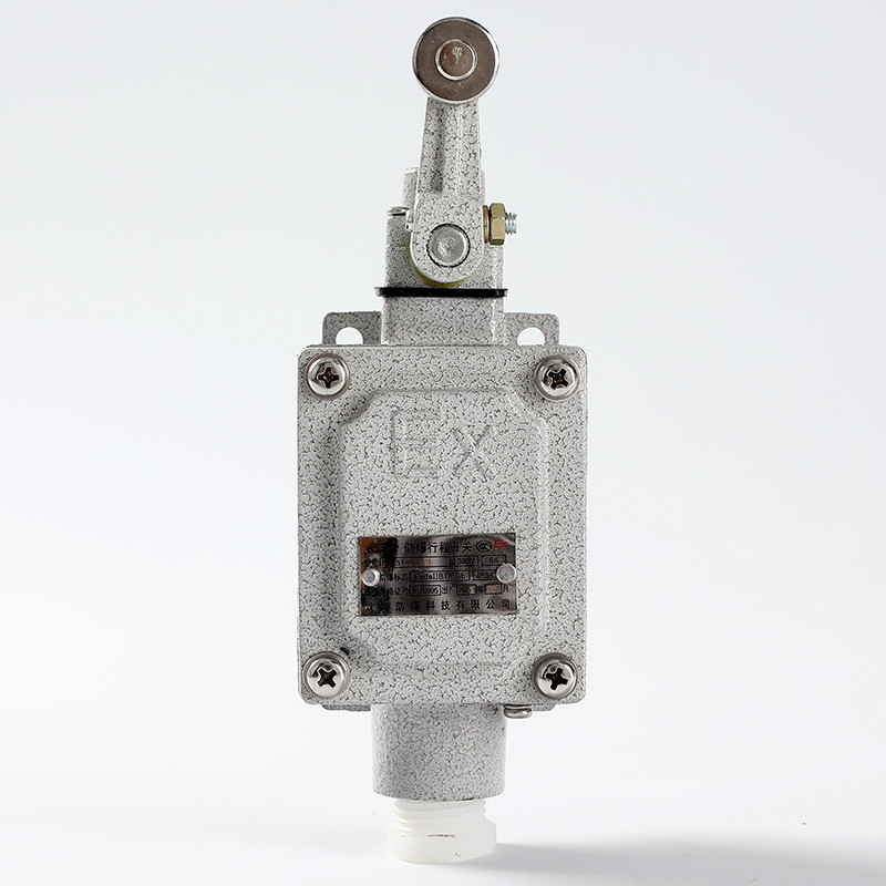 Explosion-Proof Limit Switch BLX51-B detail