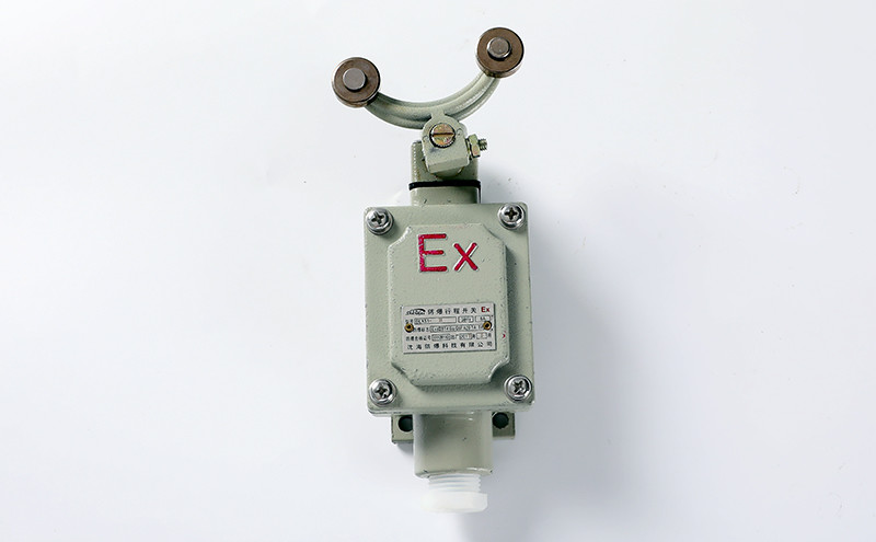 Explosion Proof Limit Switch BLX51-H - Explosion Proof Button Switch - 6