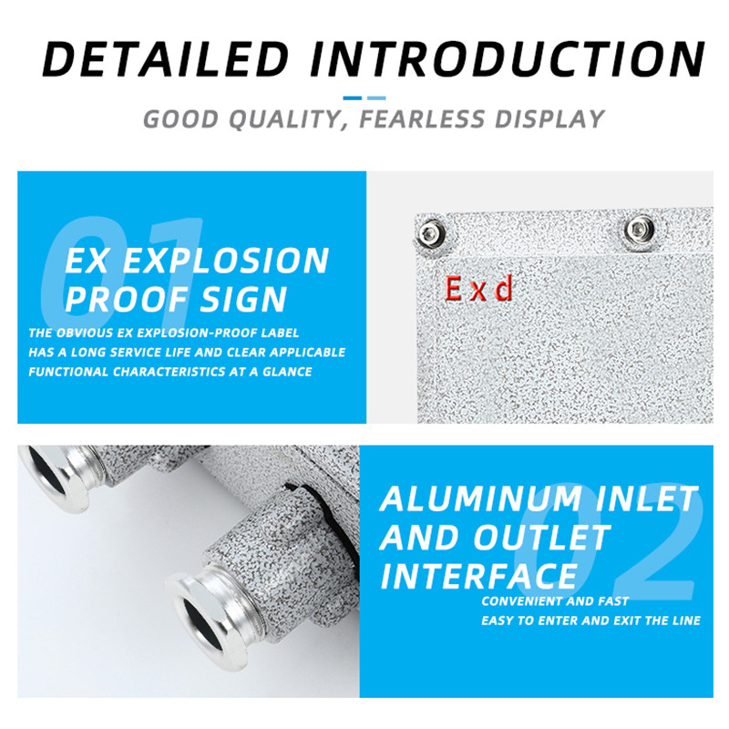 Explosion-Proof Magnetic Starter BQC detail