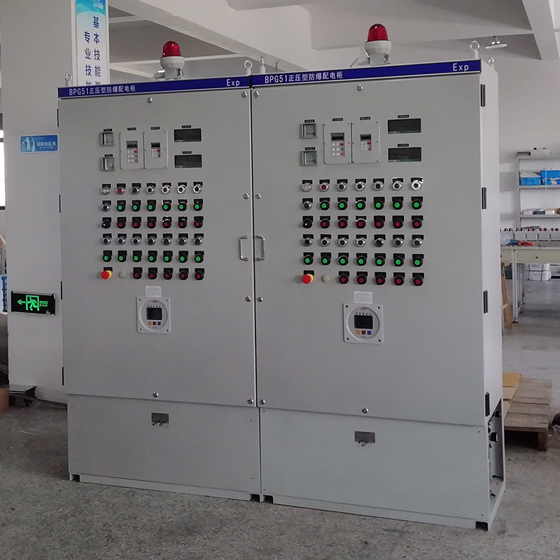 Explosion-Proof Pressurized Enclosure BPG51 detail