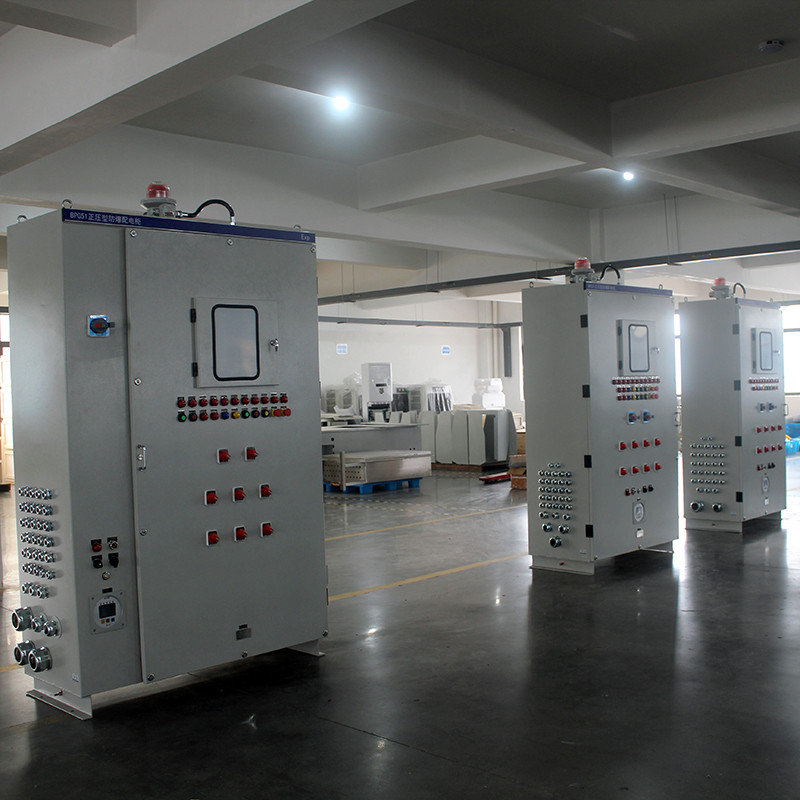 Explosion-Proof Pressurized Enclosure BPG51 detail