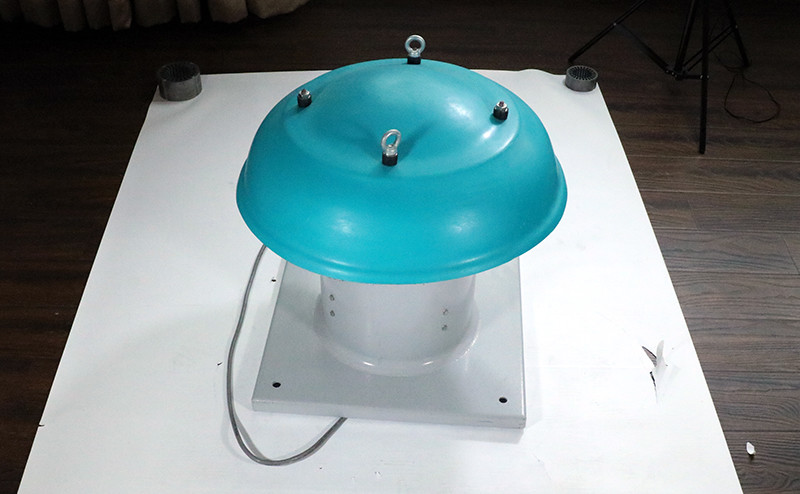 patlamaya dayanıklı çatı fanı bdw-12