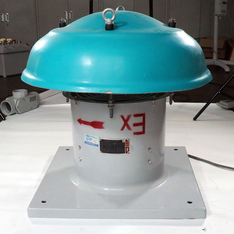 Explosion-Proof Roof Fan BDW detail