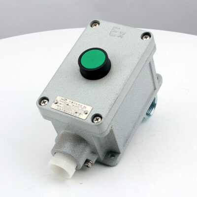 Explosion-Proof Single Push Button LA53 detail