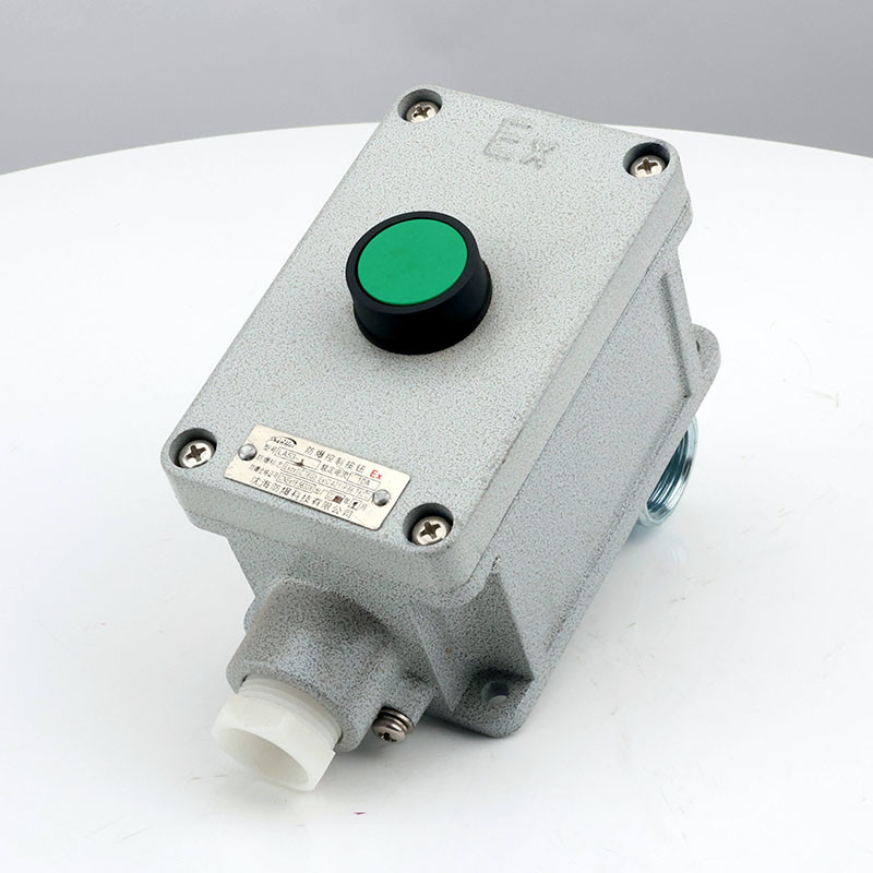 Explosion-Proof Single Push Button LA53 detail