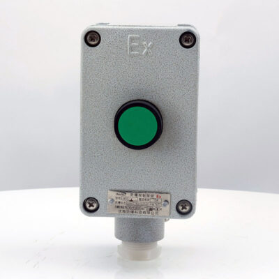 Explosion-Proof Single Push Button LA53 detail