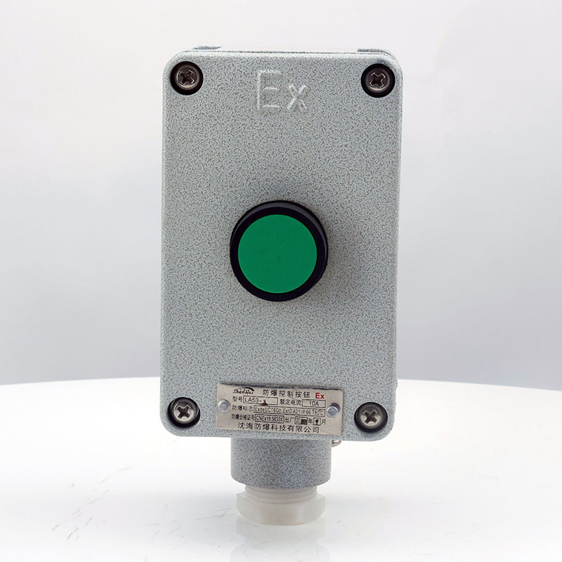 Explosion-Proof Single Push Button LA53 detail